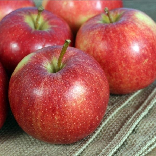 APPLES ROYAL GALA LARGE - Zone Fresh