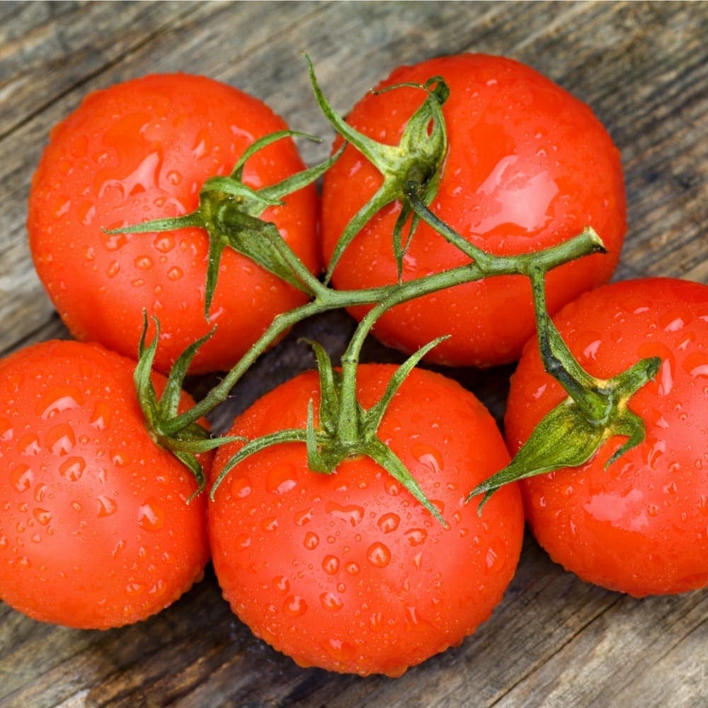 TOMATOES TRUSS | Zone Fresh