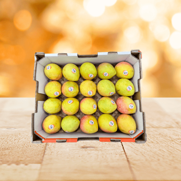 MANGOES KP TRAY SALES SIZE 20-22 MANGOES KP TRAY SALES SIZE 20-22