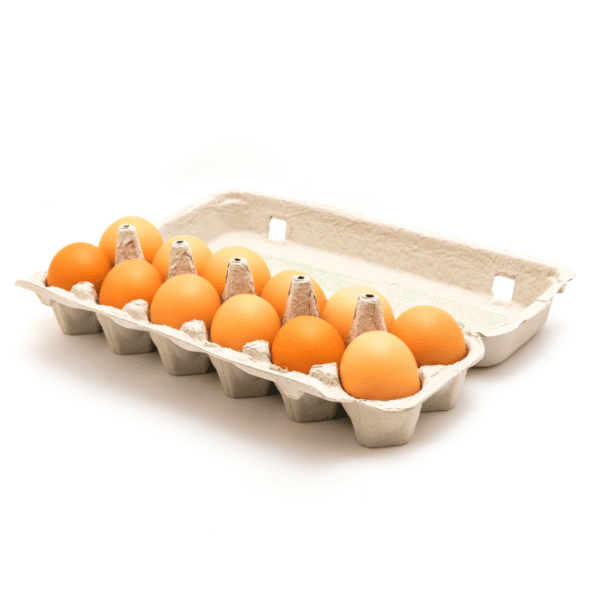 EGGS FREE RANGE EXTRA LARGE EGGS FREE RANGE EXTRA LARGE
