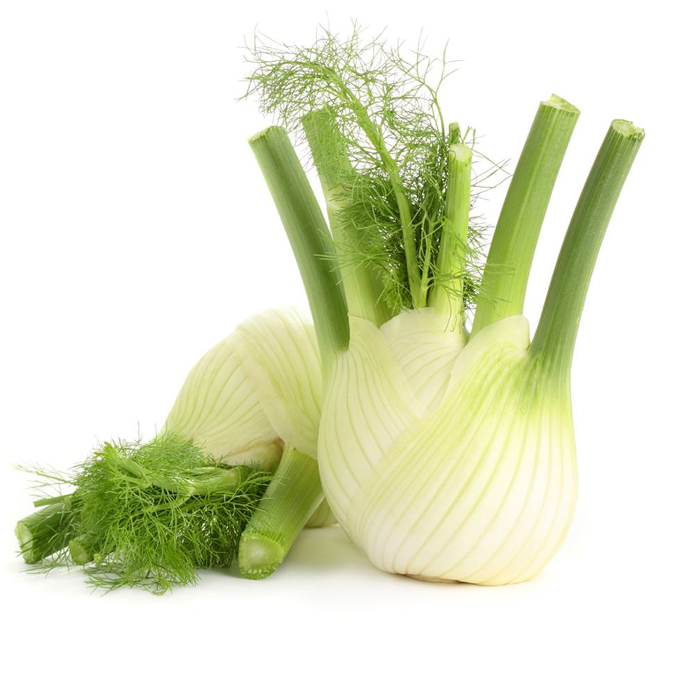With the crunchy texture of celery and the sweet flavour of licorice fennel is popular in sou...