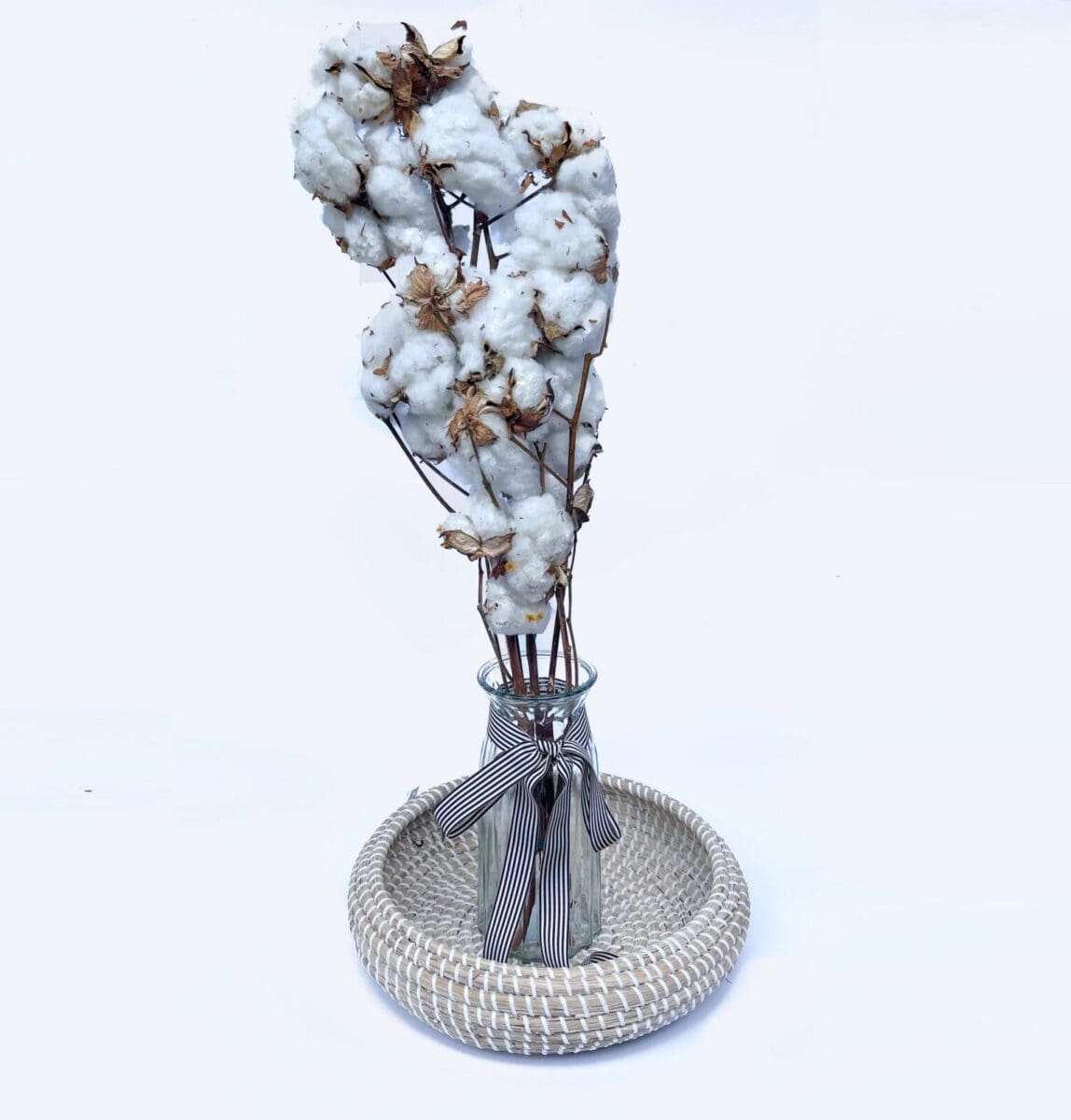 FLOWER DRIED COTTON FLOWER DRIED COTTON