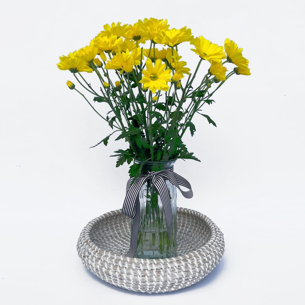 FLOWERS CHRYSANTHEMUM FLOWERS CHRYSANTHEMUM