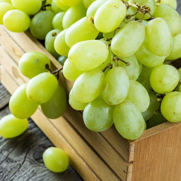 GRAPES WHITE SEEDLESS PREMIUM - Zone Fresh