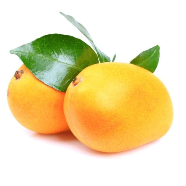 KP mango KP mango