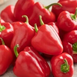 CAPSICUM SWEET BABY MINI