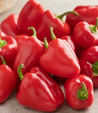 CAPSICUM SWEET BABY MINI