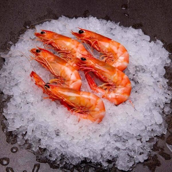 MOOLOOLABA KING PRAWNS MOOLOOLABA KING PRAWNS