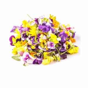Pile of colorful edible flowers in purple, yellow, orange on a white background.