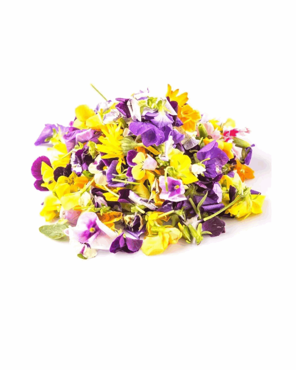 Pile of colorful edible flowers in purple, yellow, orange on a white background.