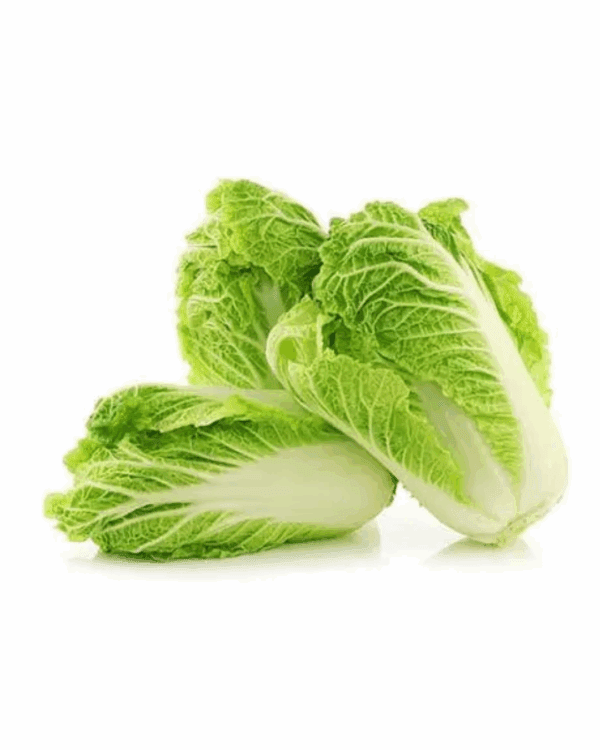 CABBAGE WOMBOK LARGE Three fresh napa cabbage heads with crisp, light green leaves on a white background.