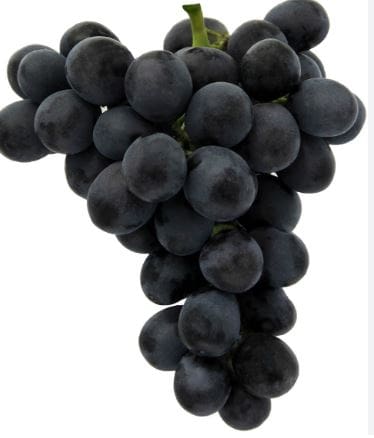 Cluster of dark purple grapes with green stem on white background.