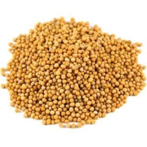 Pile of small, round, yellow-brown mustard seeds on a white background.