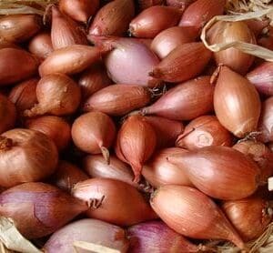 Shallots in shades of brown and reddish-purple in a basket with straw.