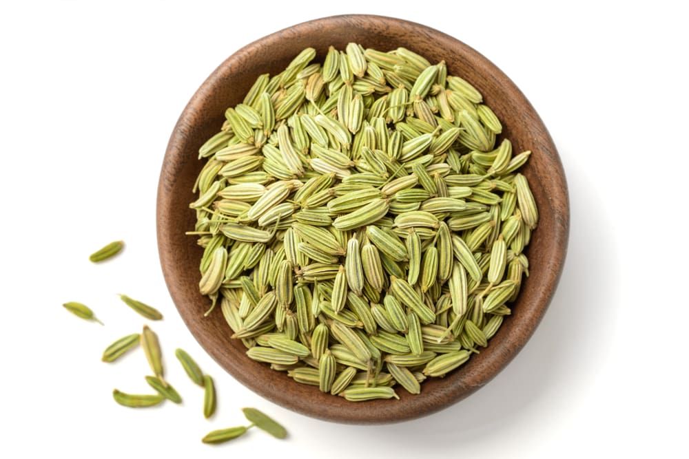 EURO HERBS FENNEL SEEDS