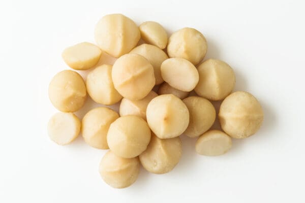 AEGEAN MACADAMIA NATURAL Collection of shelled macadamia nuts on a white background, varying in size and smoothness.