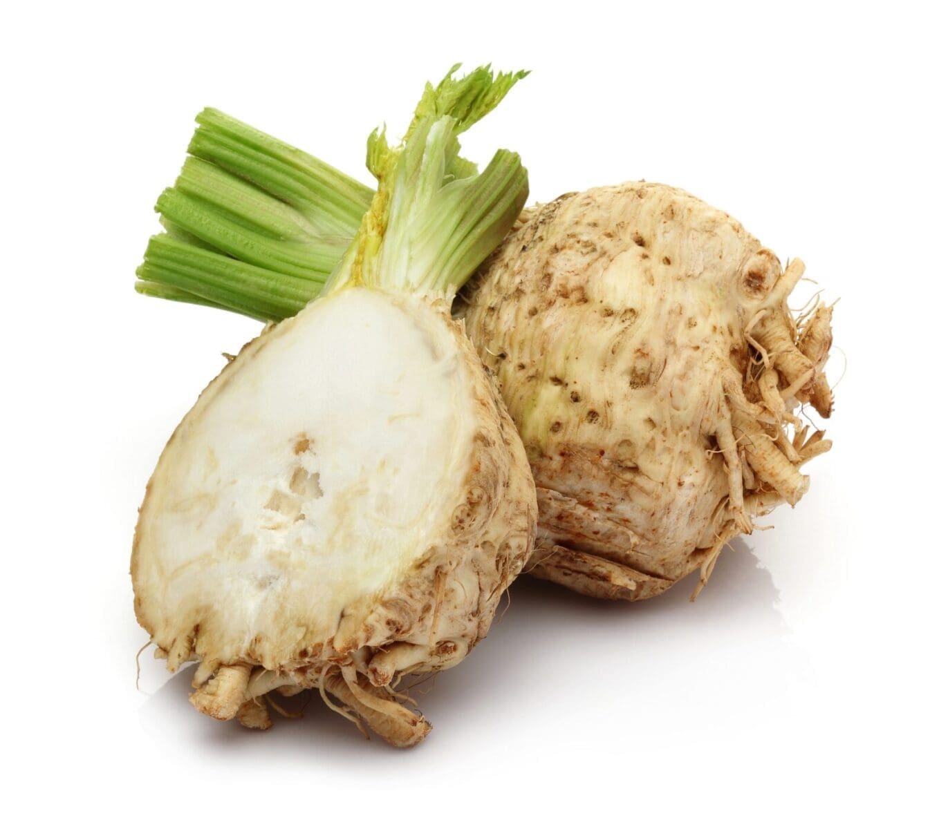 Celeriac, Celeriac,