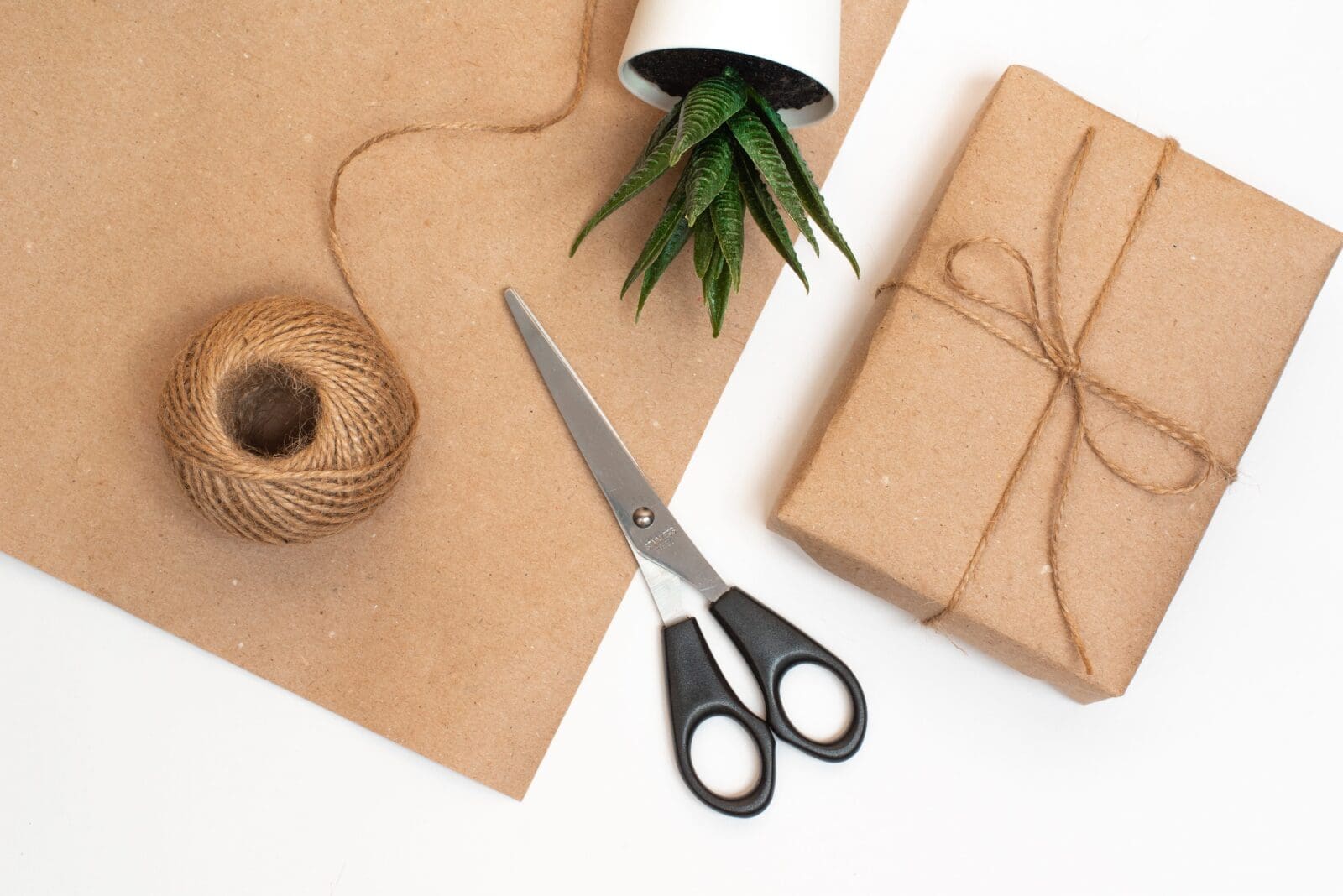 GIFT WRAP PLANTS GIFT WRAP PLANTS