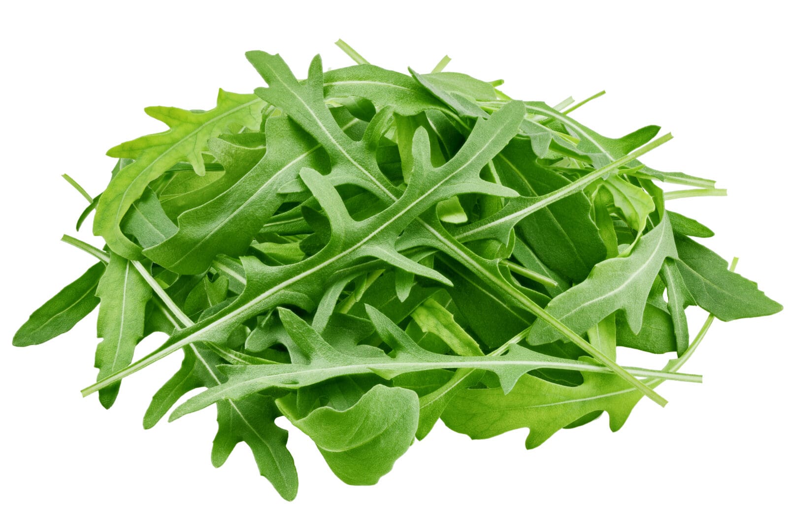 FRESH ROCKET LETTUCE