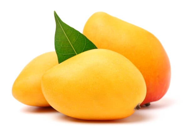 Mangos,On,A,White,Background Mangos,On,A,White,Background