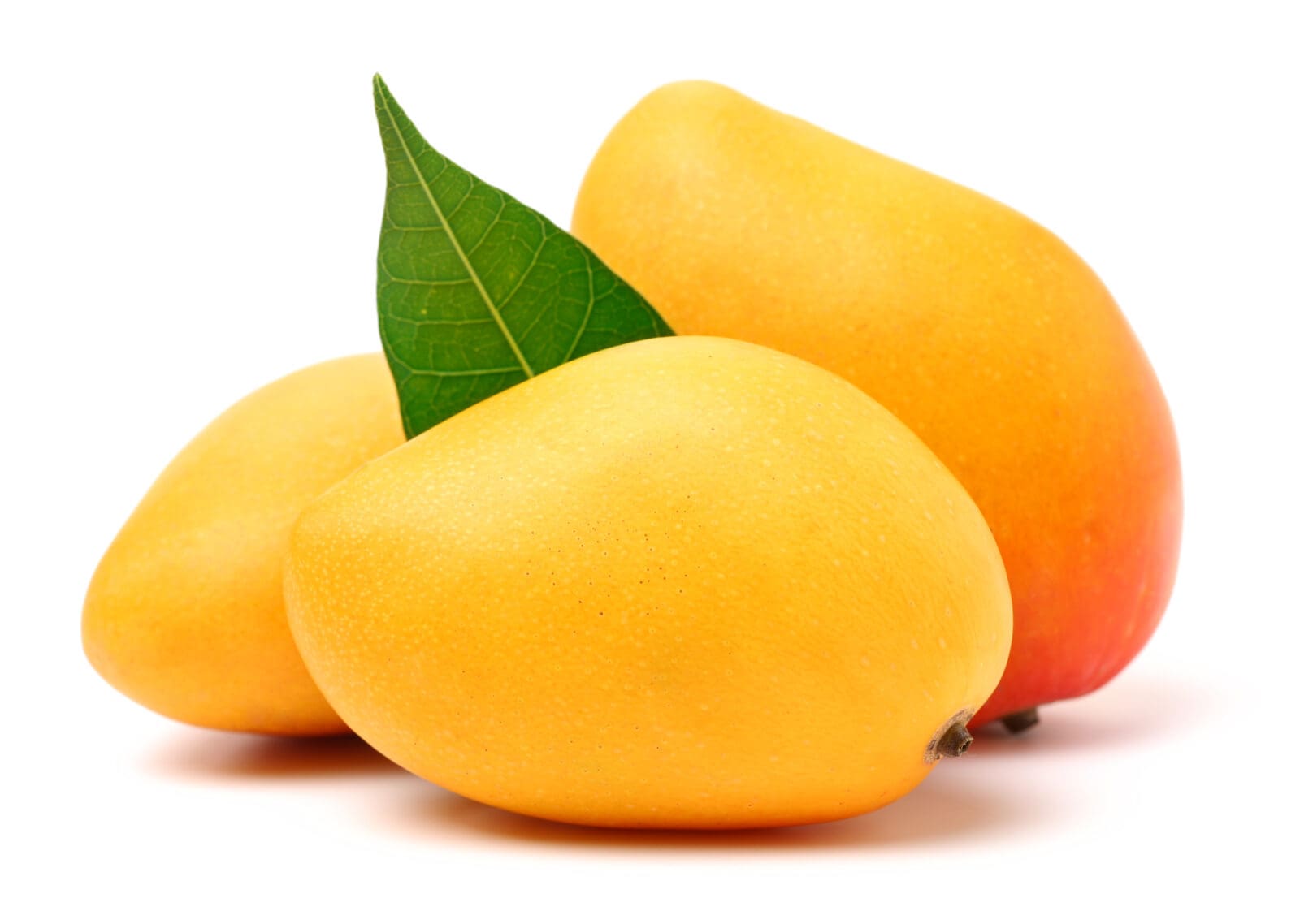 MANGOES KENSINGTON PRIDE 4 PACK