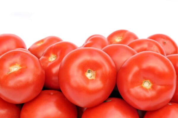 Ripe red tomatoes piled on a plain white background.