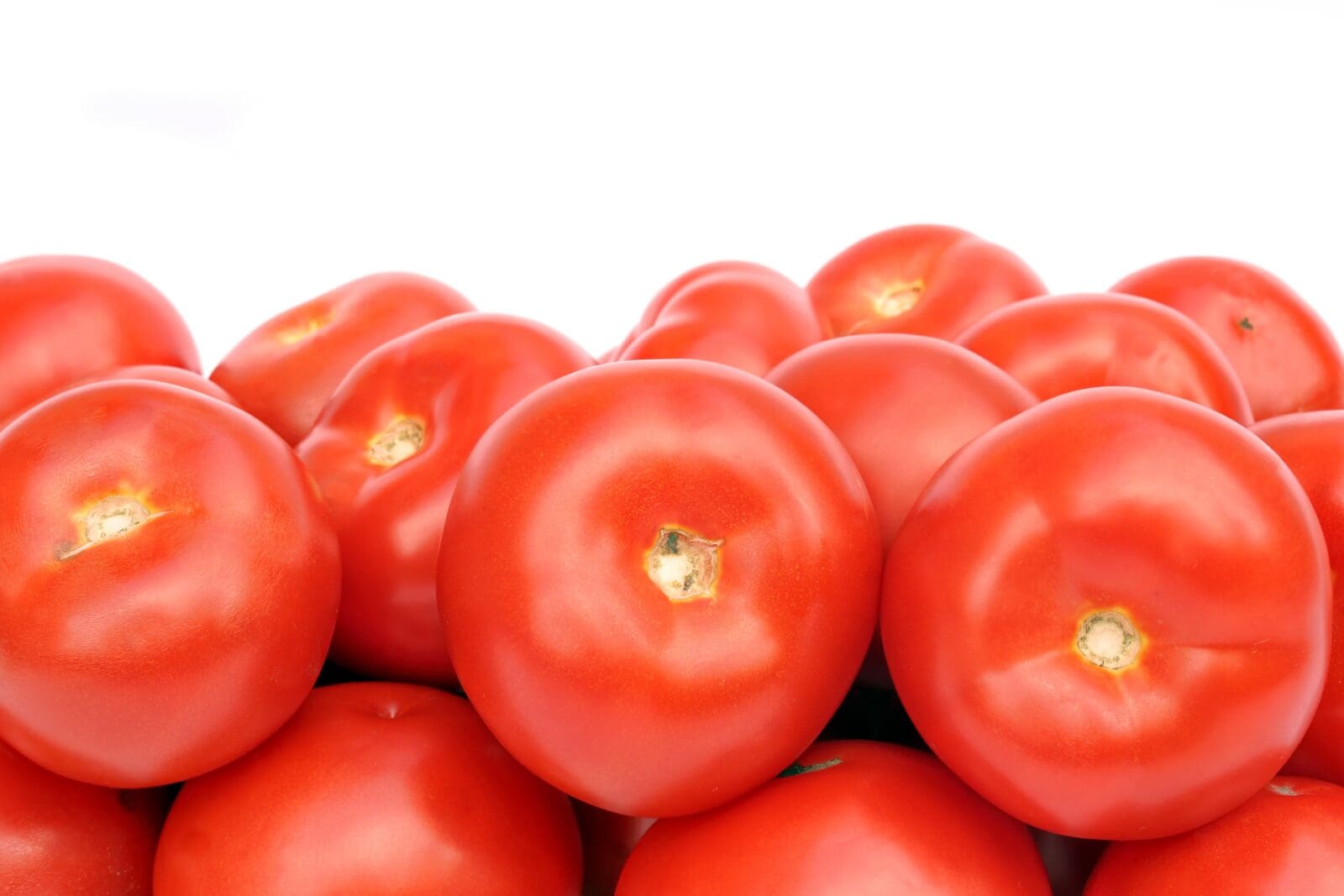 Ripe red tomatoes piled on a plain white background.