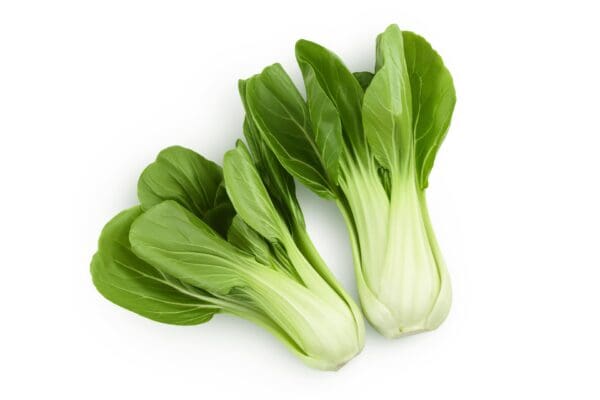 Fresh bok choy with green leaves and pale stems on a white surface.
