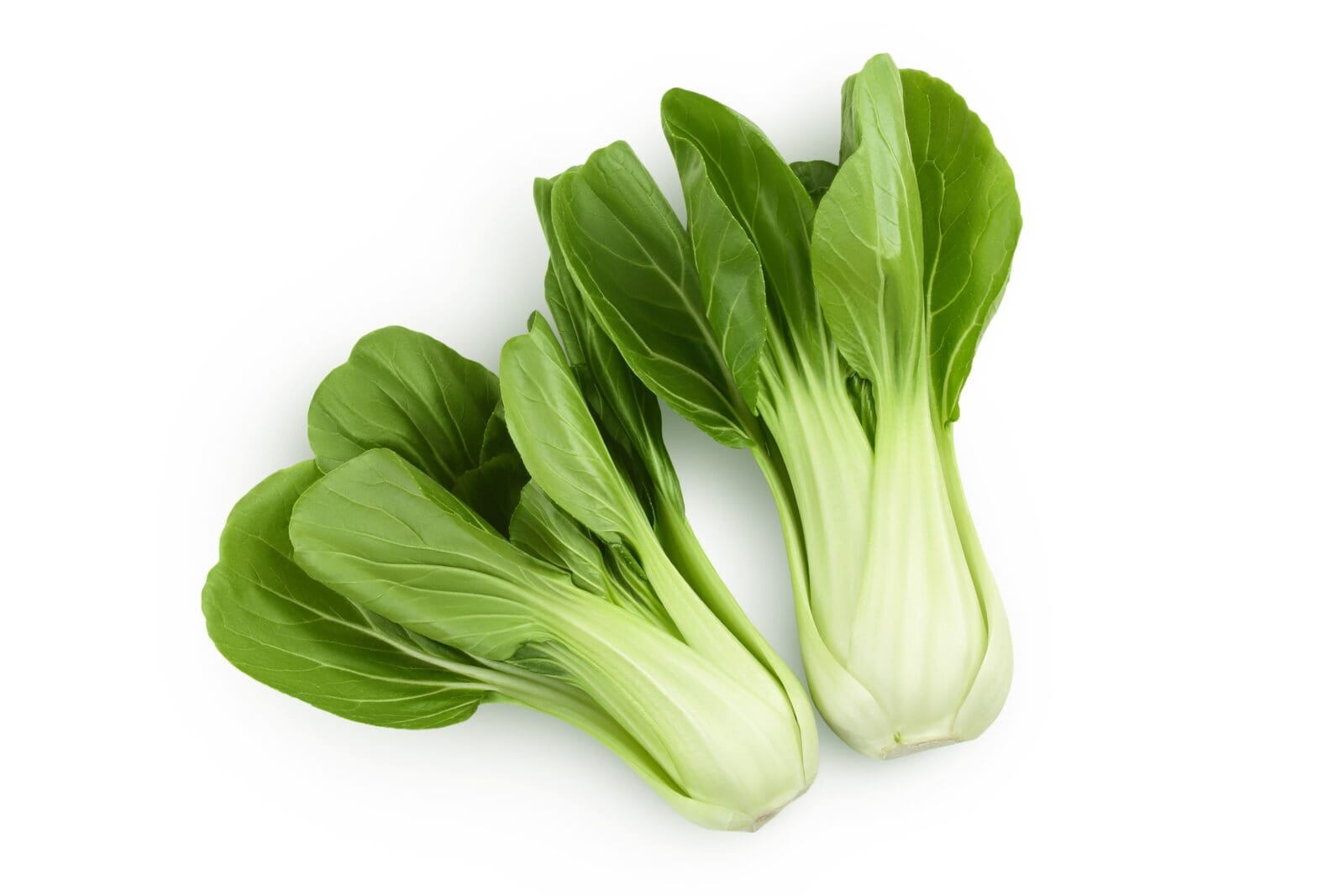 Fresh bok choy with green leaves and pale stems on a white surface.