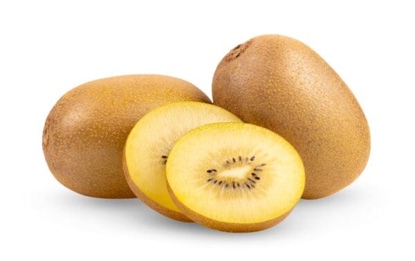 KIWI FRUIT GOLD LARGE