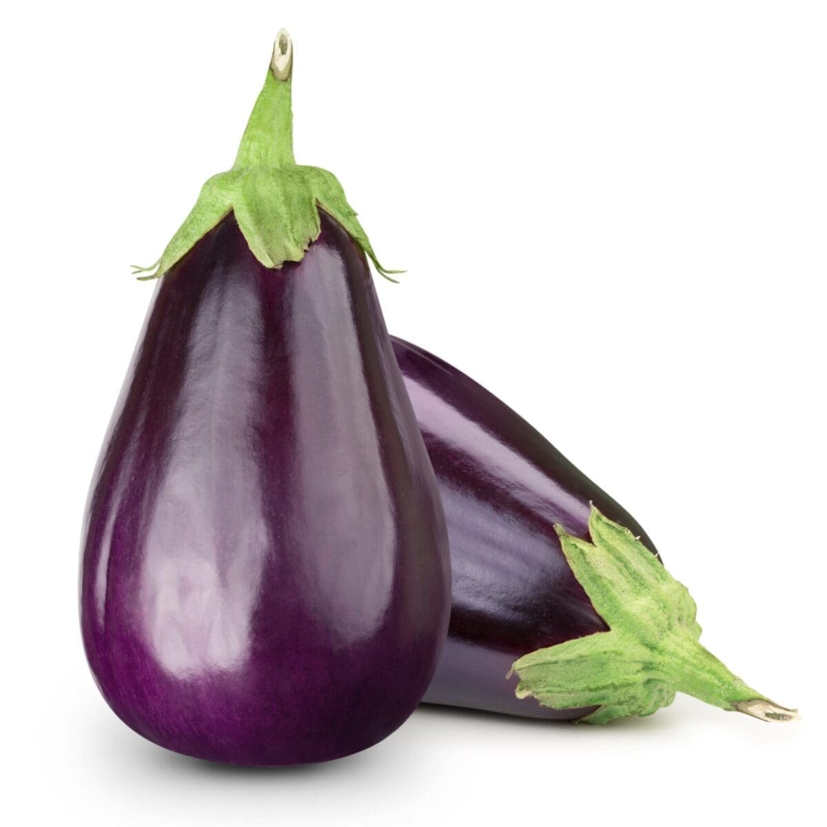 Eggplant round