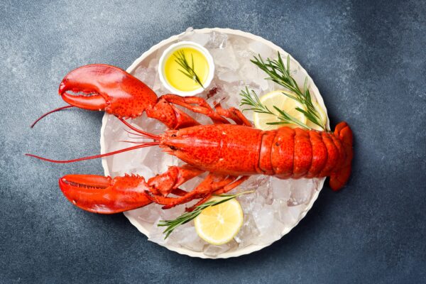 Lobster