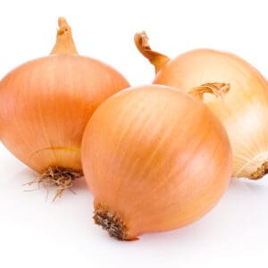ONIONS PICKLING