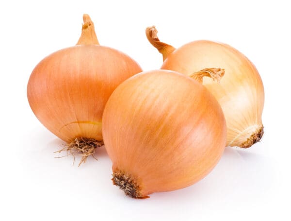 Onions Pickling Onions Pickling