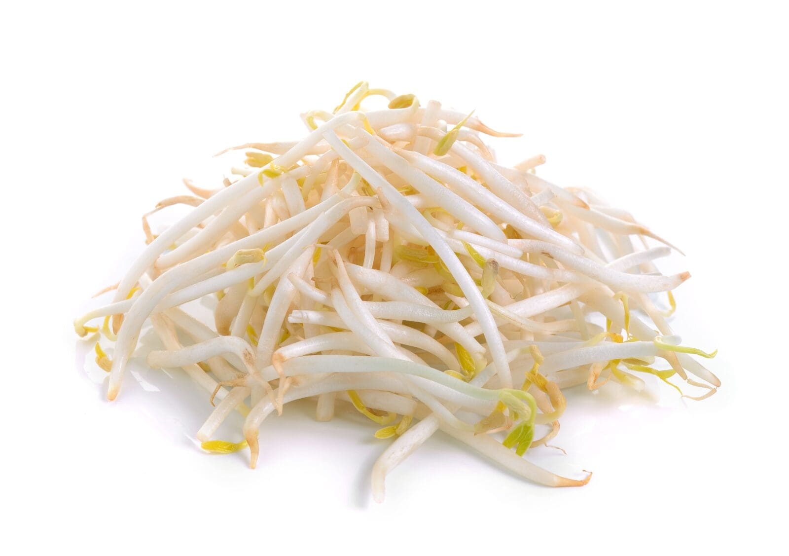 Pile of white bean sprouts with yellow-green tips on a white background.